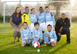 Hermes DVS F2