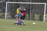 IMG_0395.jpg - 
