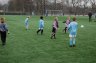 DSC_6416.JPG - 